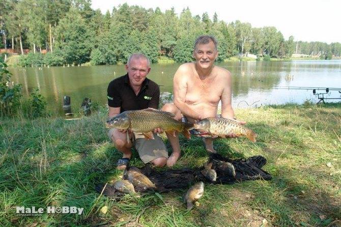 Fishing in the Moscow region Chekhov district Merleevo