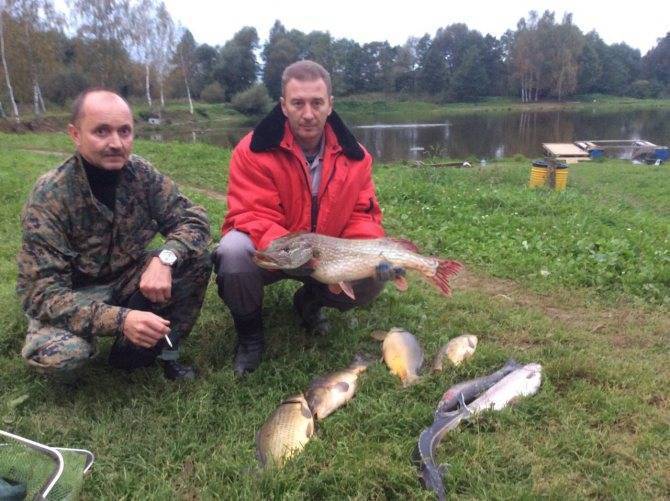 Trial Russian fishing in the Chekhovsky district of the Moscow Region: description of the base, prices, reviews