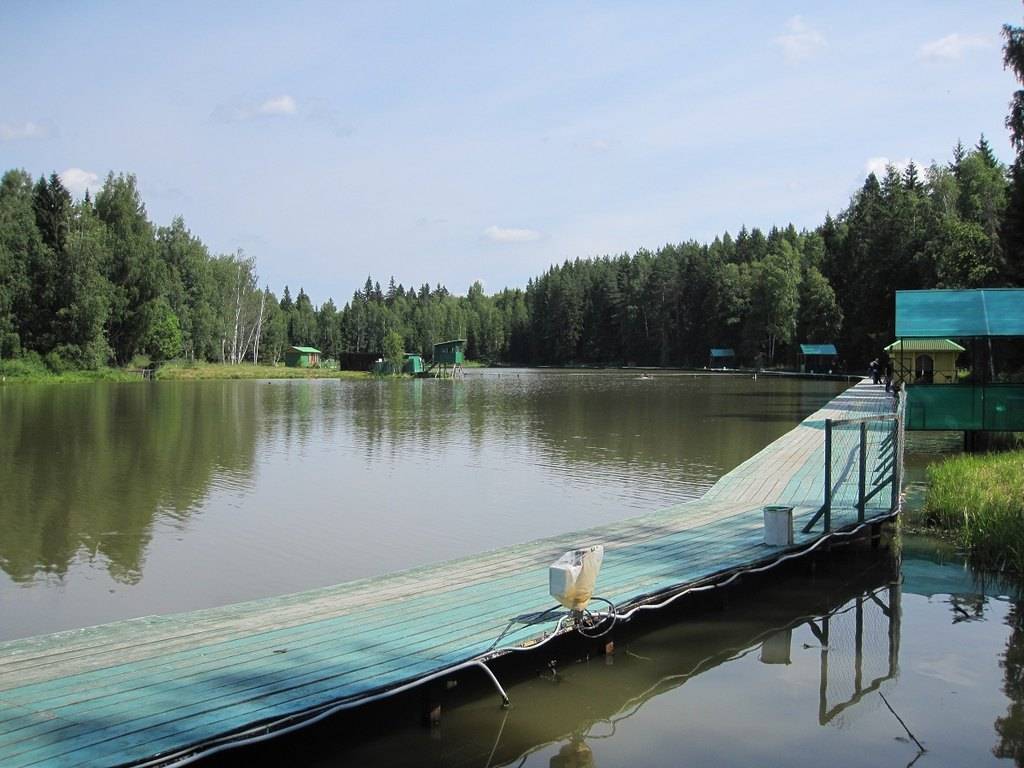 Base Tall Russian Fishing in the Moscow Region