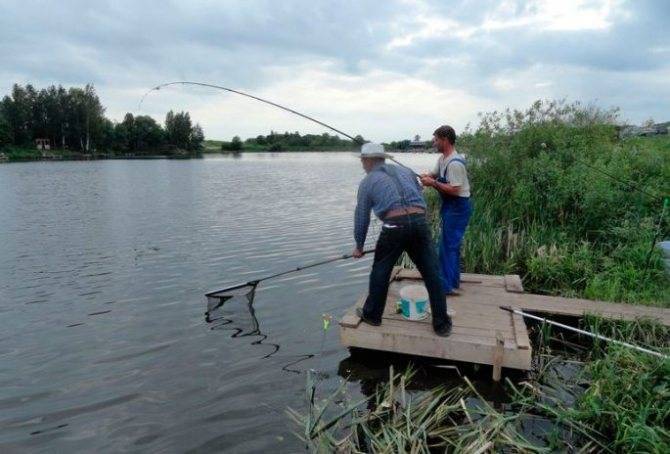 Fishing in the Chekhovsky district of the Moscow region - the best places for fishing, what kind of fish is found