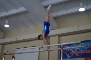 Altai Territory Championship and Championship in sports gymnastics among young men