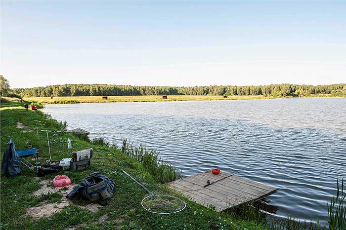 Paid fishing in the Chekhov district of the Moscow region-Superulov-Internet portal about fishing