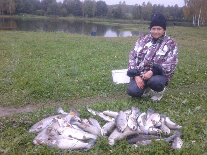 Fishing bases in the Chekhov district on the map: ratings and reviews for the best fishing bases of the Chekhov district 2020