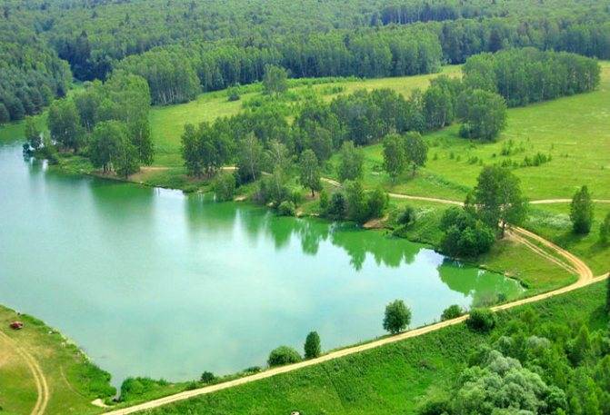 Paid ponds Chekhovsky district